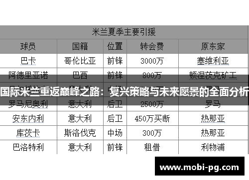 国际米兰重返巅峰之路：复兴策略与未来愿景的全面分析