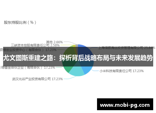 尤文图斯重建之路：探析背后战略布局与未来发展趋势
