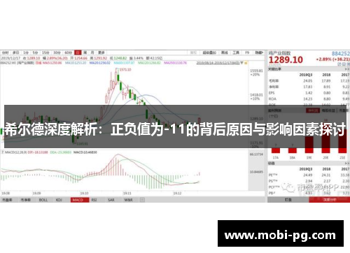 希尔德深度解析：正负值为-11的背后原因与影响因素探讨