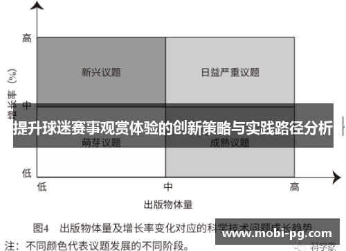 提升球迷赛事观赏体验的创新策略与实践路径分析