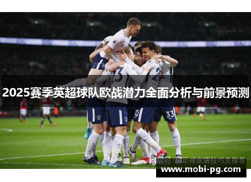 2025赛季英超球队欧战潜力全面分析与前景预测