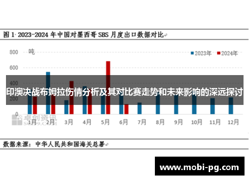 印澳决战布姆拉伤情分析及其对比赛走势和未来影响的深远探讨