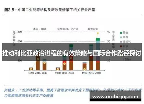 推动利比亚政治进程的有效策略与国际合作路径探讨