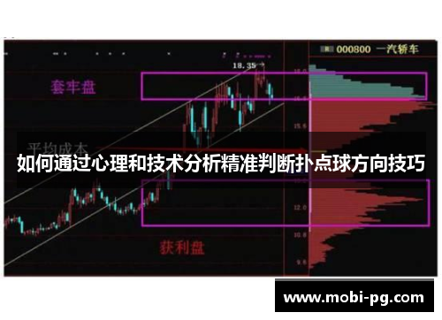 如何通过心理和技术分析精准判断扑点球方向技巧