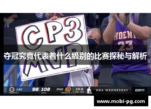 夺冠究竟代表着什么级别的比赛探秘与解析
