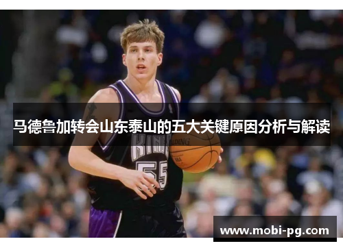 马德鲁加转会山东泰山的五大关键原因分析与解读