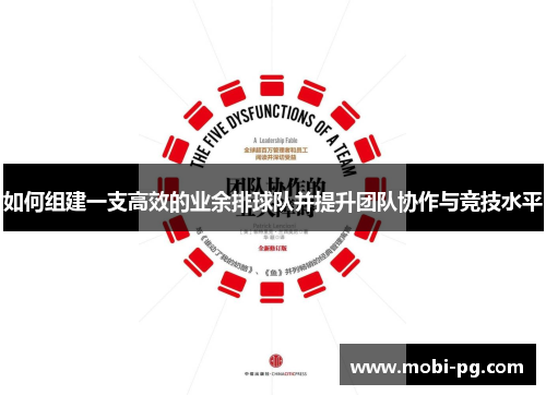 如何组建一支高效的业余排球队并提升团队协作与竞技水平
