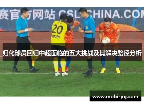 归化球员回归中超面临的五大挑战及其解决路径分析 归化球员回归中超面临的五大挑战及其解决路径分析
