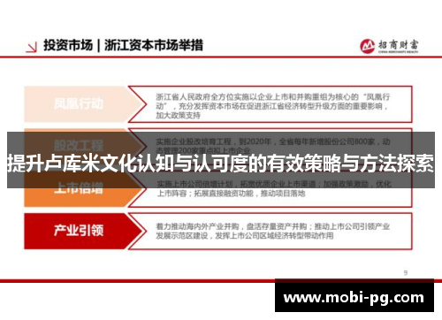 提升卢库米文化认知与认可度的有效策略与方法探索 提升卢库米文化认知与认可度的有效策略与方法探索