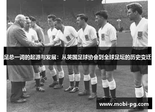 足总一词的起源与发展:从英国足球协会到全球足坛的历史变迁 足总一词的起源与发展:从英国足球协会到全球足坛的历史变迁