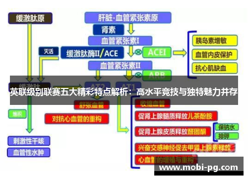英联级别联赛五大精彩特点解析：高水平竞技与独特魅力并存